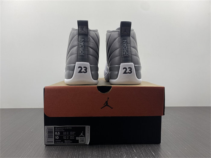 Jordan 12 STEALTH CT8025-610