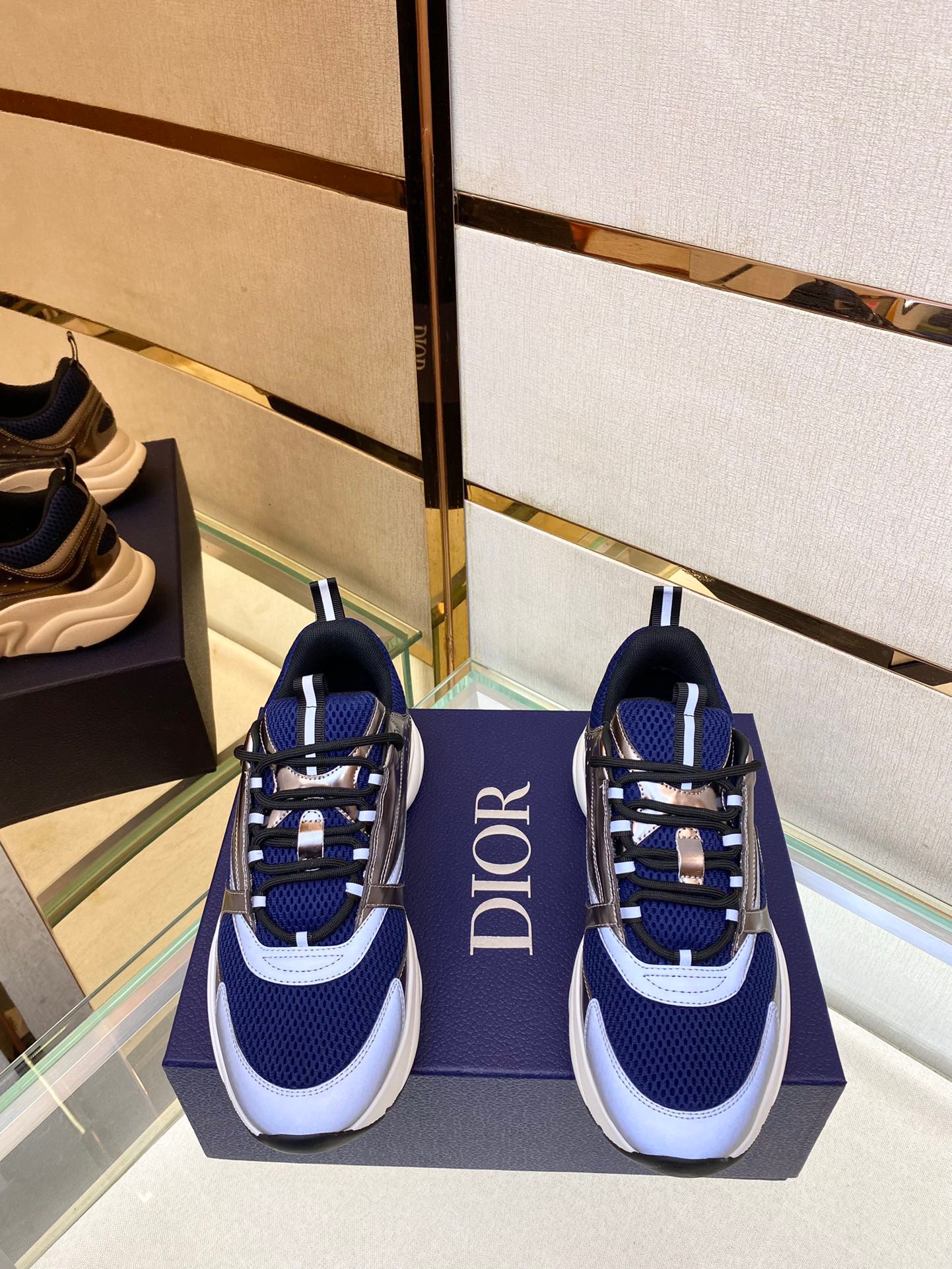 dior b22 11