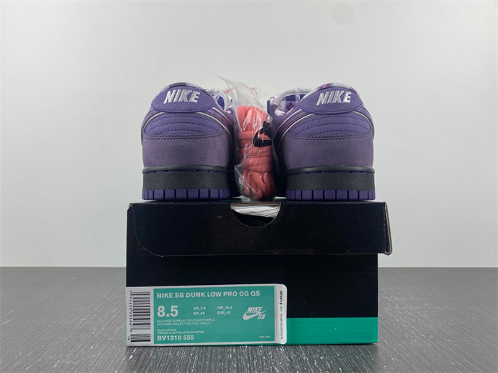 nike sb dunk low concepts purple lobster bv1310-555