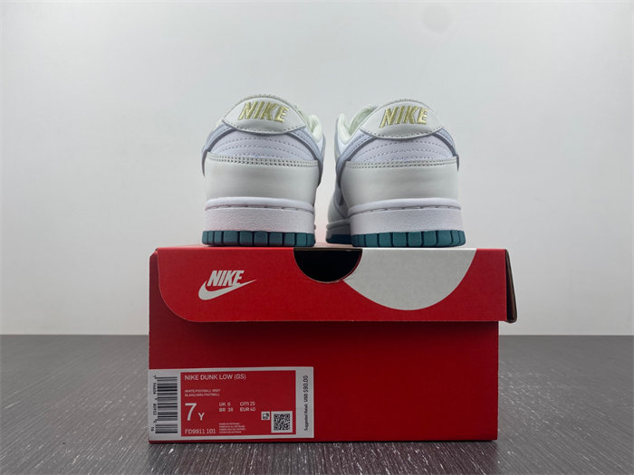 nike dunk low 2023 fd9911-101