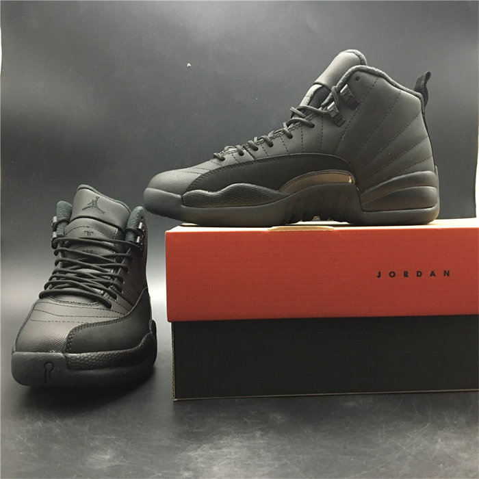 Jordan 12 WNTR 130690-601