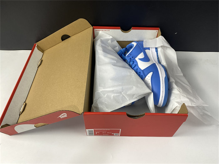 nike dunk low unc dd1391-102