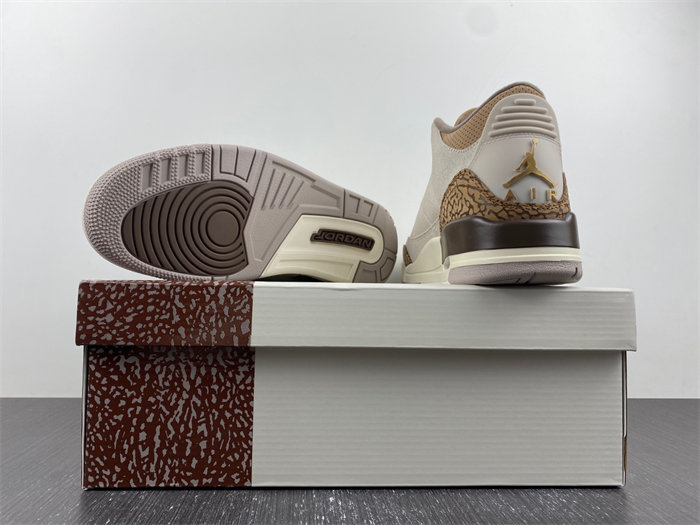 Jordan 3 Retro Palomino CT8532-102