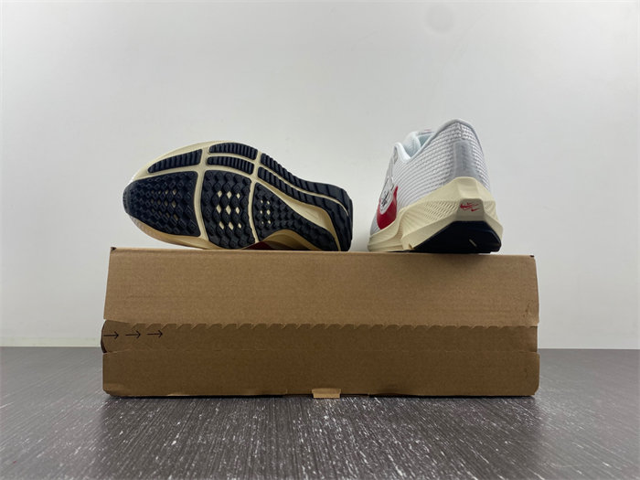 nike pegasus 40 premium fb7703-100