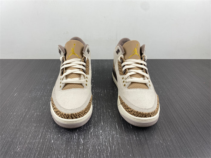 Jordan 3 Retro Palomino CT8532-102