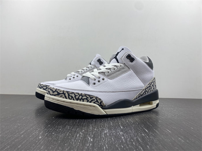 Jordan 3 Retro Hide N