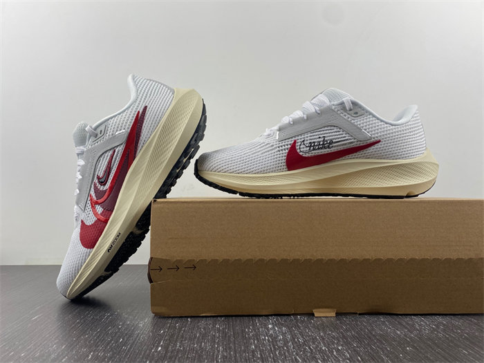 Nike Pegasus 40 Premium FB7703-100