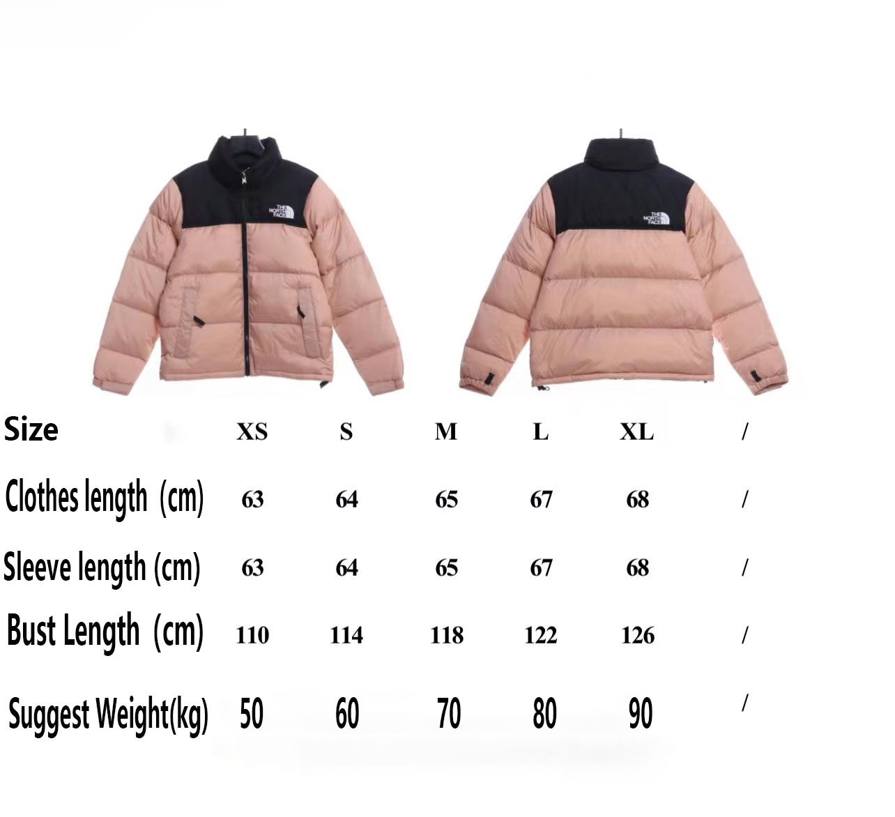 TNF 19fw 1996 Classic Down Jacket