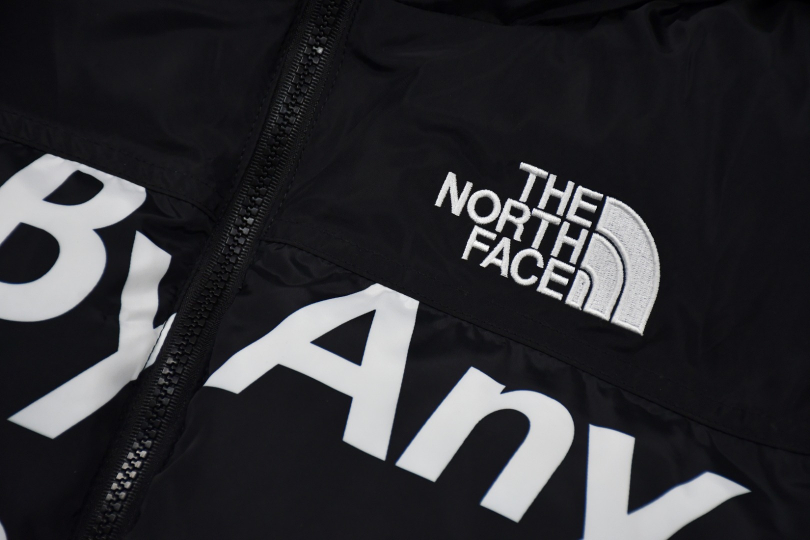 Sup*e x the north face tnf 15fw by any means down jacket