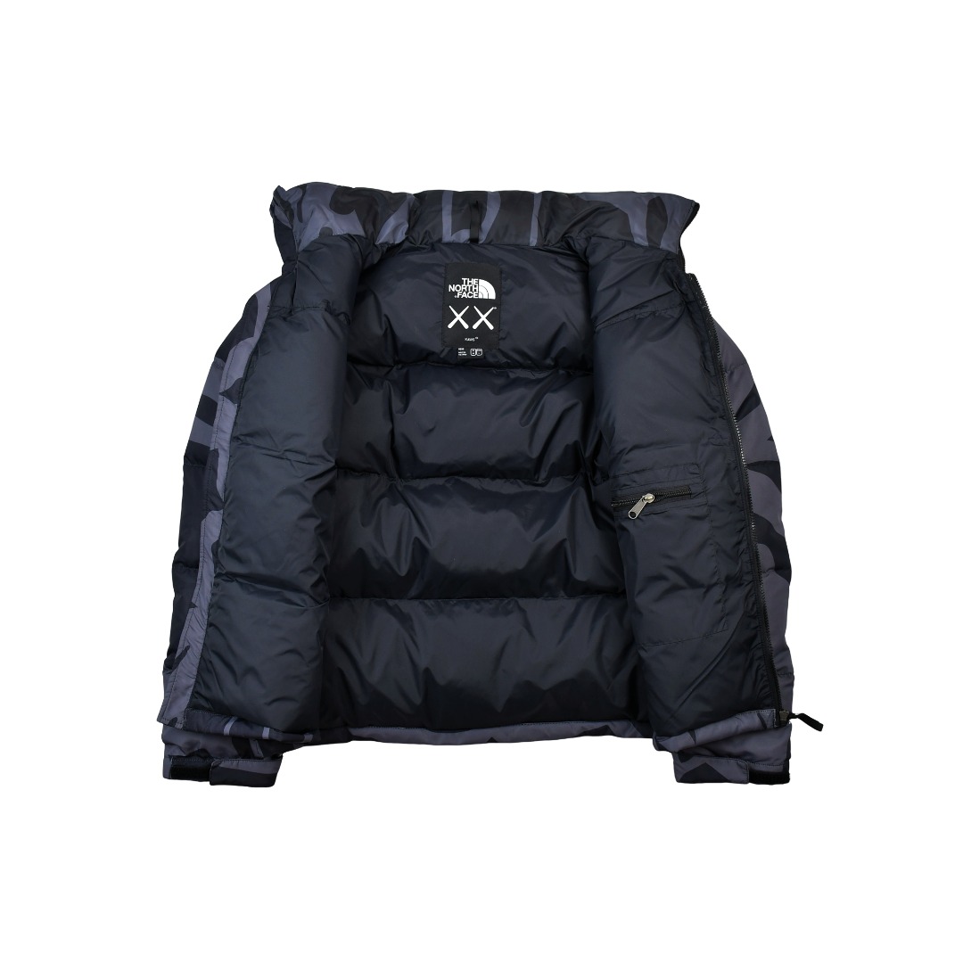 Kaws x The North Face TNF  1996 Down Jacket