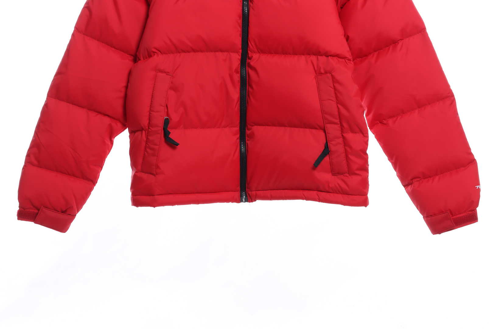 TNF 19fw 1996 Classic Down Jacket