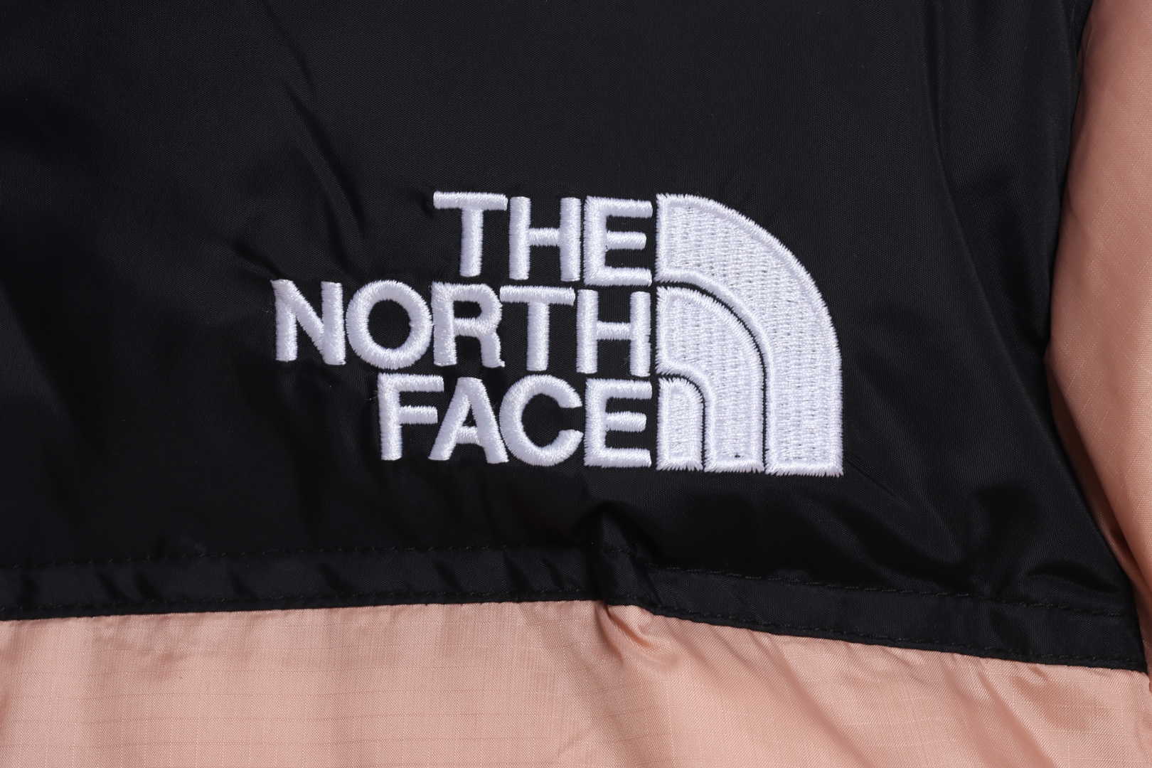 TNF 19fw 1996 Classic Down Jacket