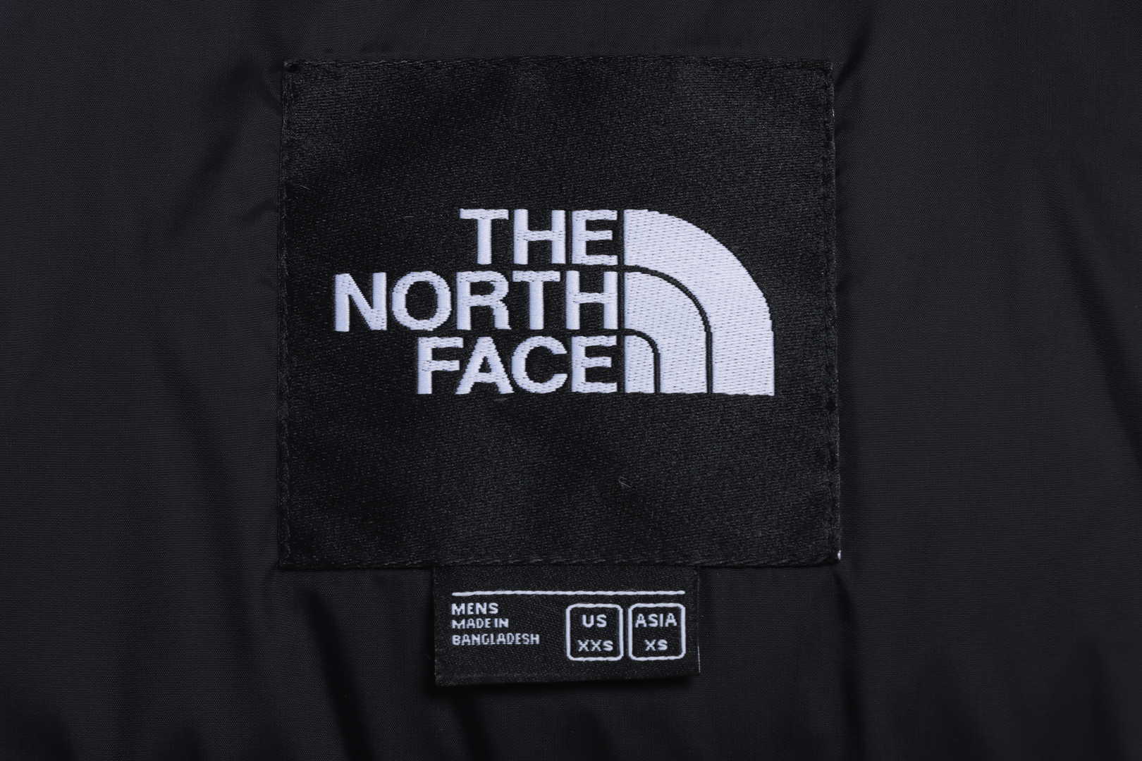 TNF 19fw 1996 Classic Down Jacket