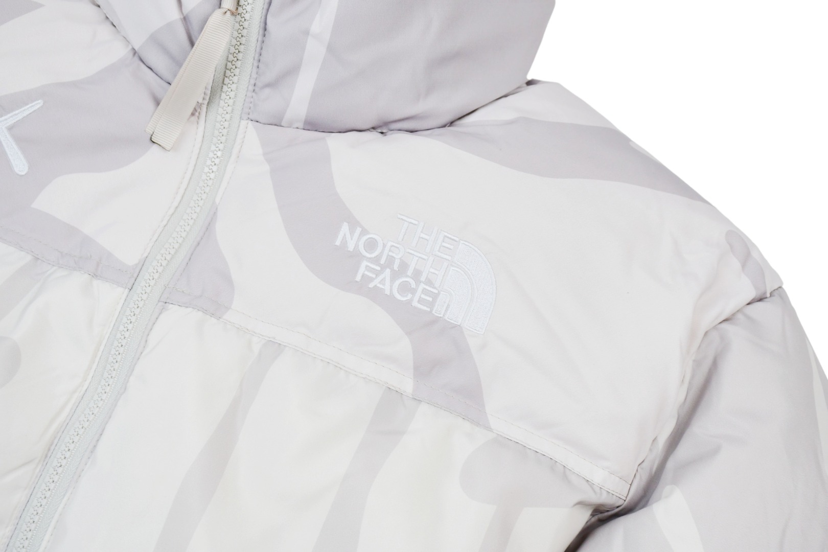 Kaws x The North Face TNF  1996 Down Jacket