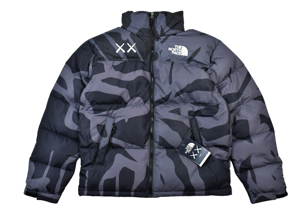 Kaws x The North Face TNF  1996 Down Jacket