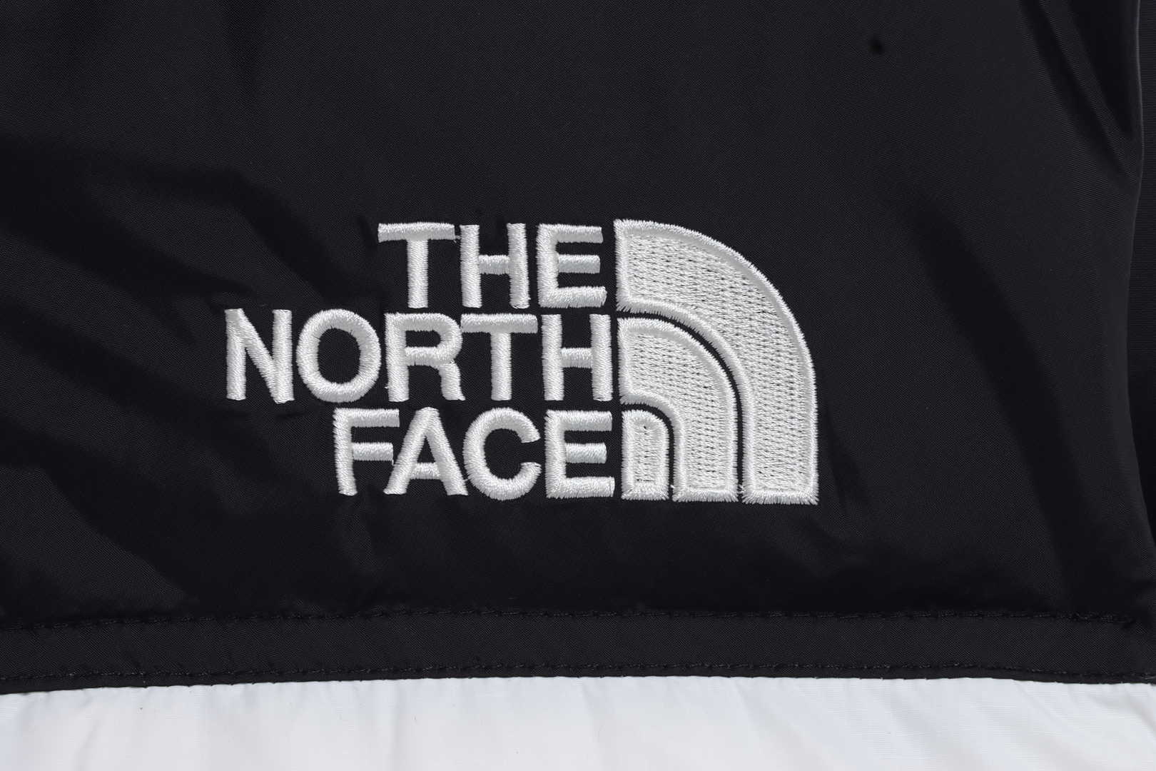 TNF 1996 Basic Down Vest White