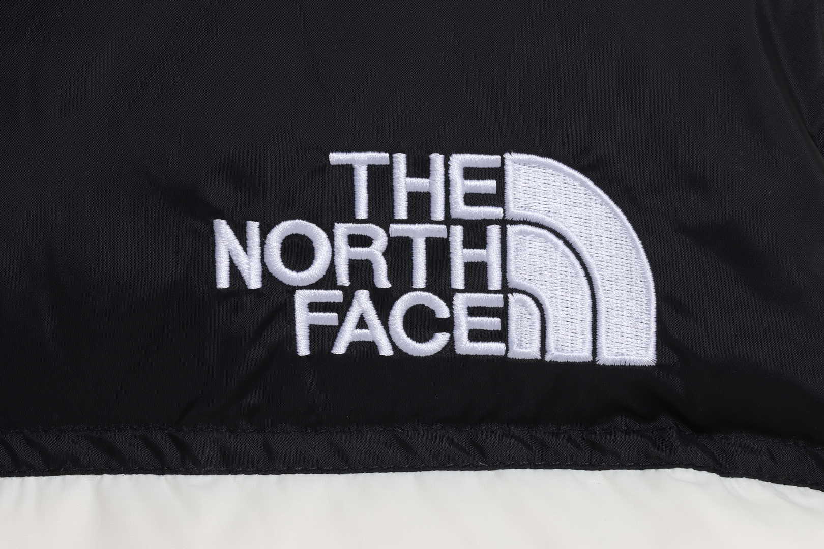 TNF 19fw 1996 Classic Down Jacket