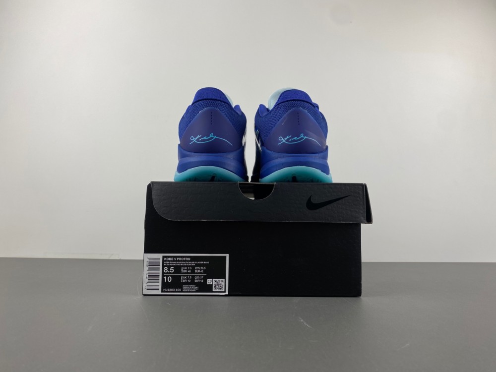 Nike Kobe 5 Protro “X-Ray” HJ4303-400