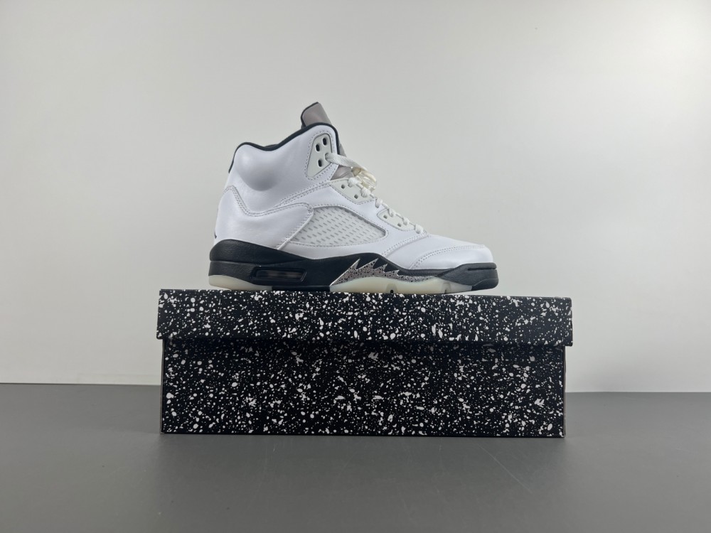 Air Jordan 5 Retro _White and Black DD0587-110