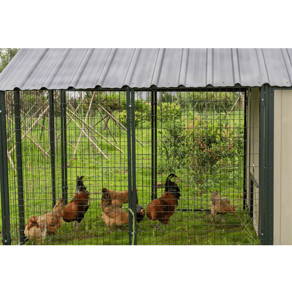 Extra Large Sentinel Chicken Coop Denives