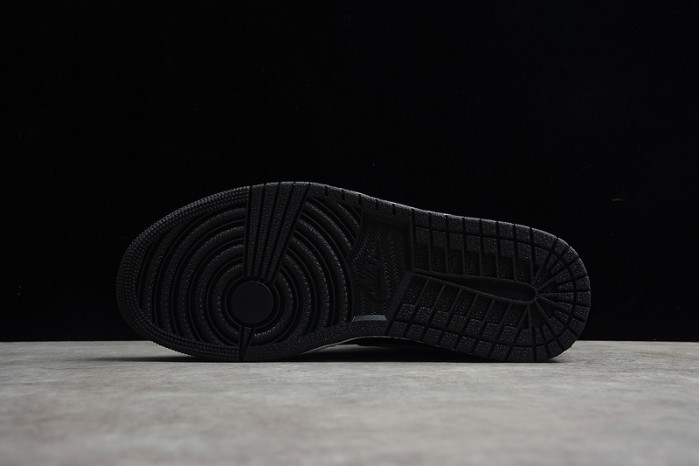 AIR JORDAN 1 RETRO HIGH OG SHADOW 2.0 555088-035