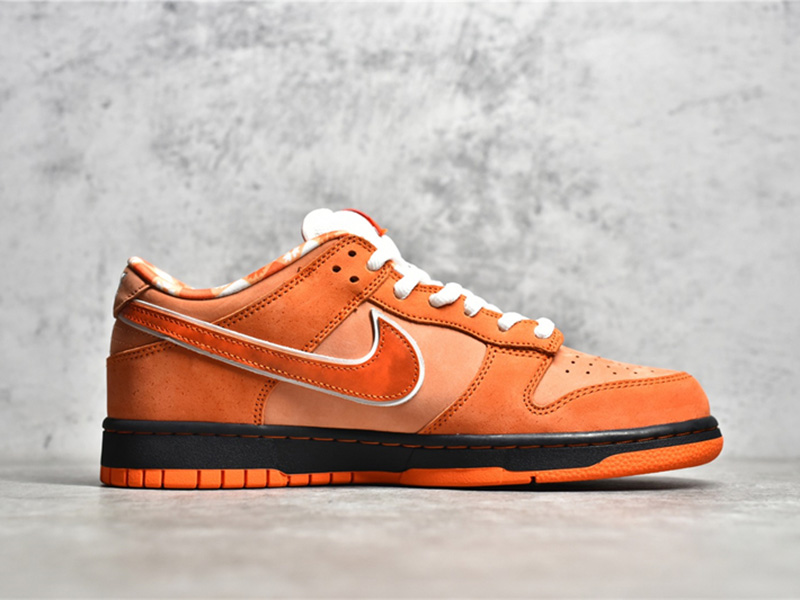 Nike Concepts x Nk SB Dunk Low 