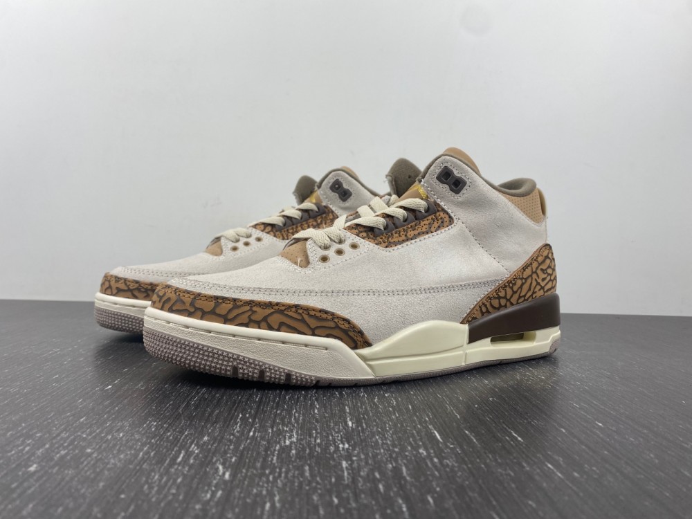Air Jordan 3 “Palomino”