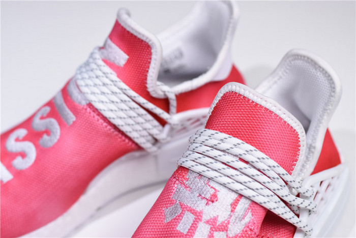 Pharrell Williams PW x Adidas Hu NMD Trail "Passion" China Exclusive F99761