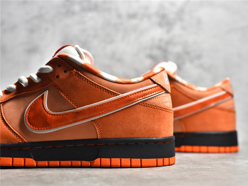 Nike Concepts x Nk SB Dunk Low 