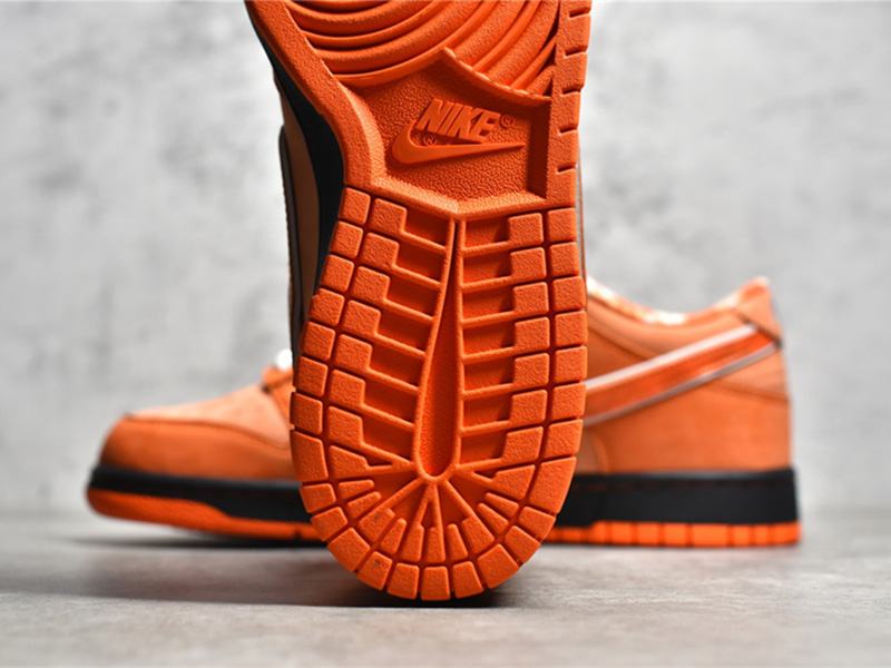 Nike Concepts x Nk SB Dunk Low 