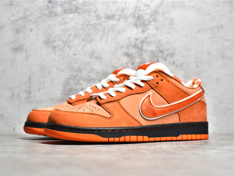 Nike Concepts x Nk SB Dunk Low 