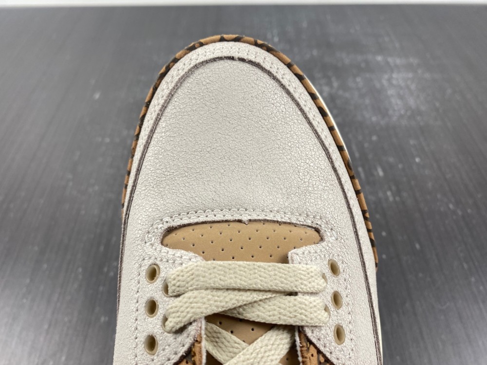 Air Jordan 3 “Palomino”