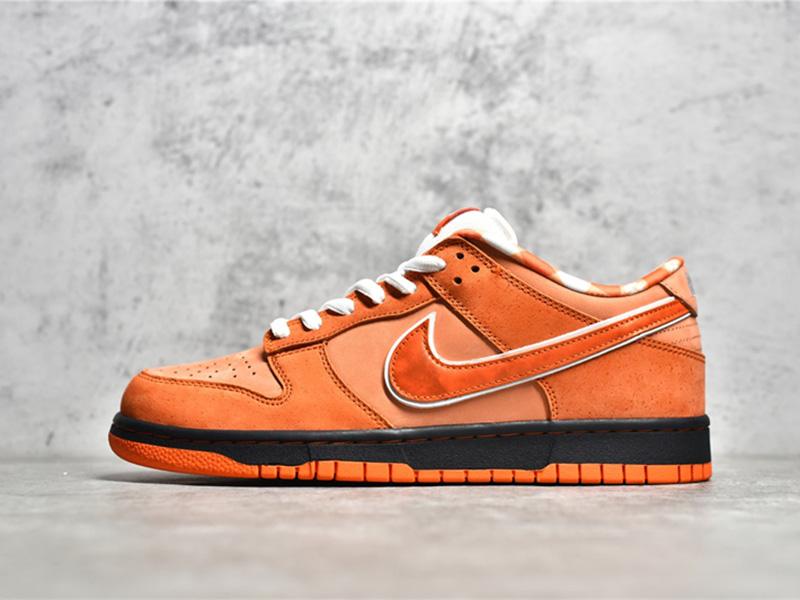 Nike Concepts x Nk SB Dunk Low 