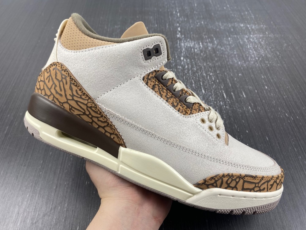 Air Jordan 3 “Palomino”