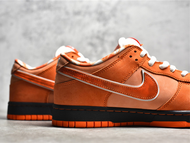 Nike Concepts x Nk SB Dunk Low 