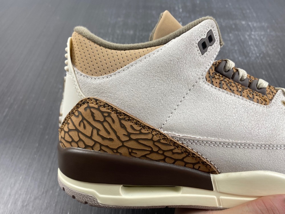 Air Jordan 3 “Palomino”