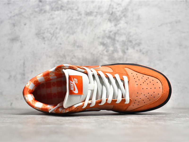 Nike Concepts x Nk SB Dunk Low 