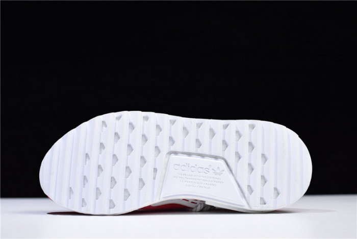 Pharrell Williams PW x Adidas Hu NMD Trail "Passion" China Exclusive F99761