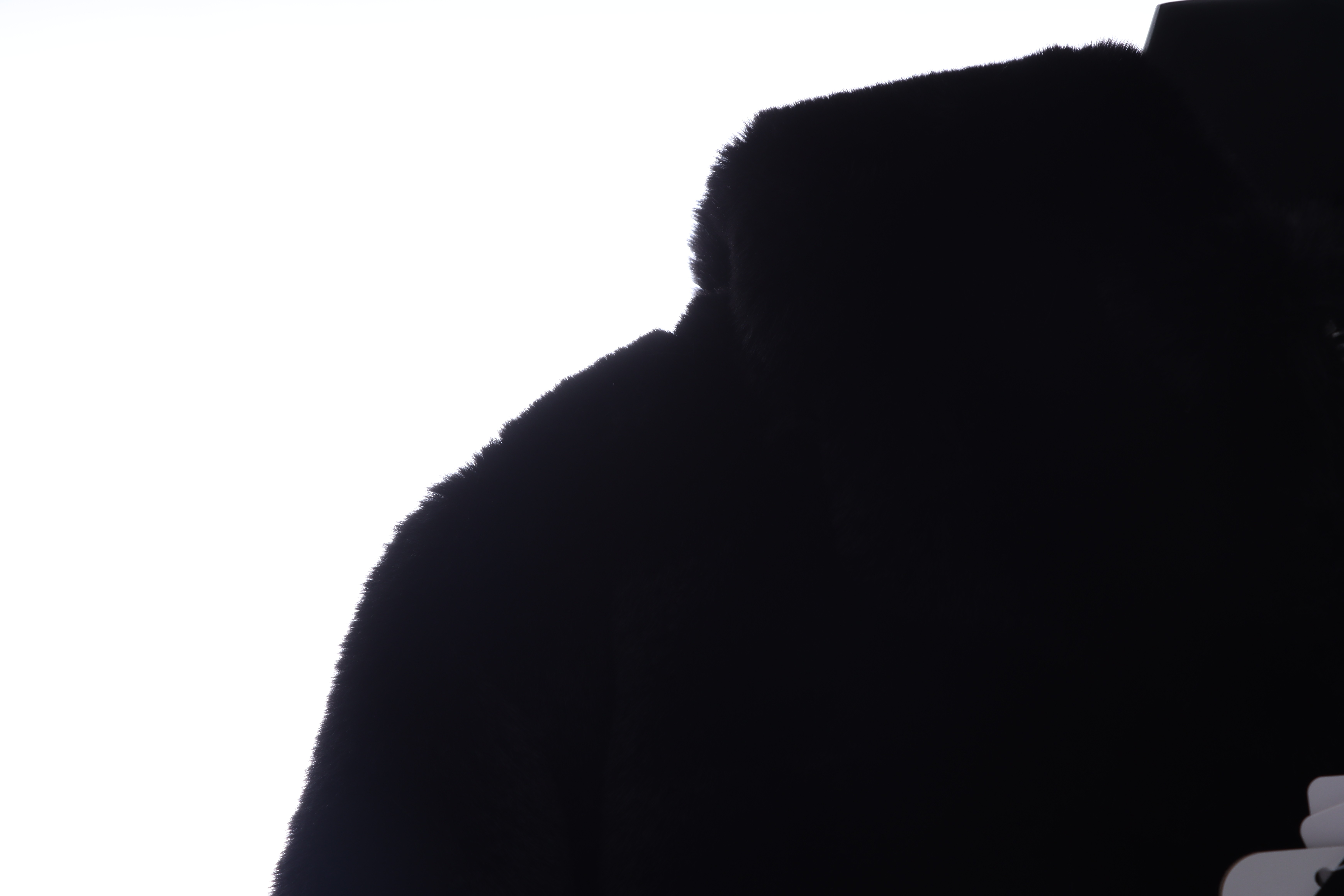 Mastermind Japan MMJ Big Skull Mink Fleece Hooded Fur Coat