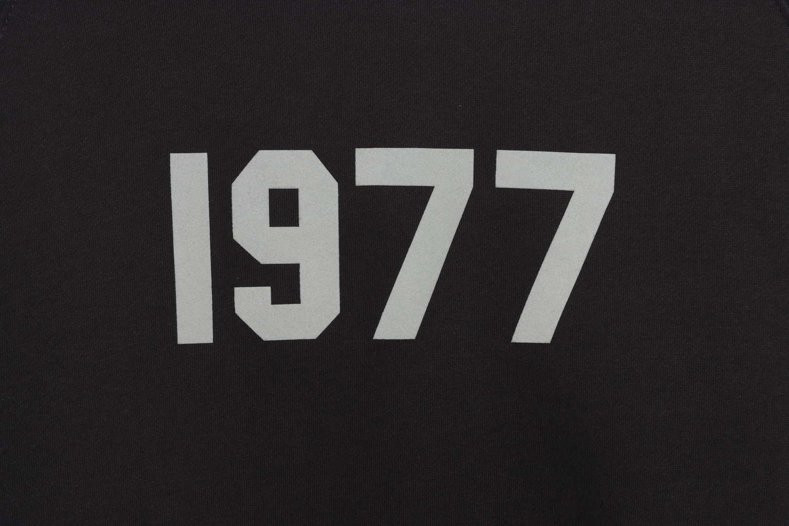 Ess3nt1als F0G  1977 flocking fleece hoodie