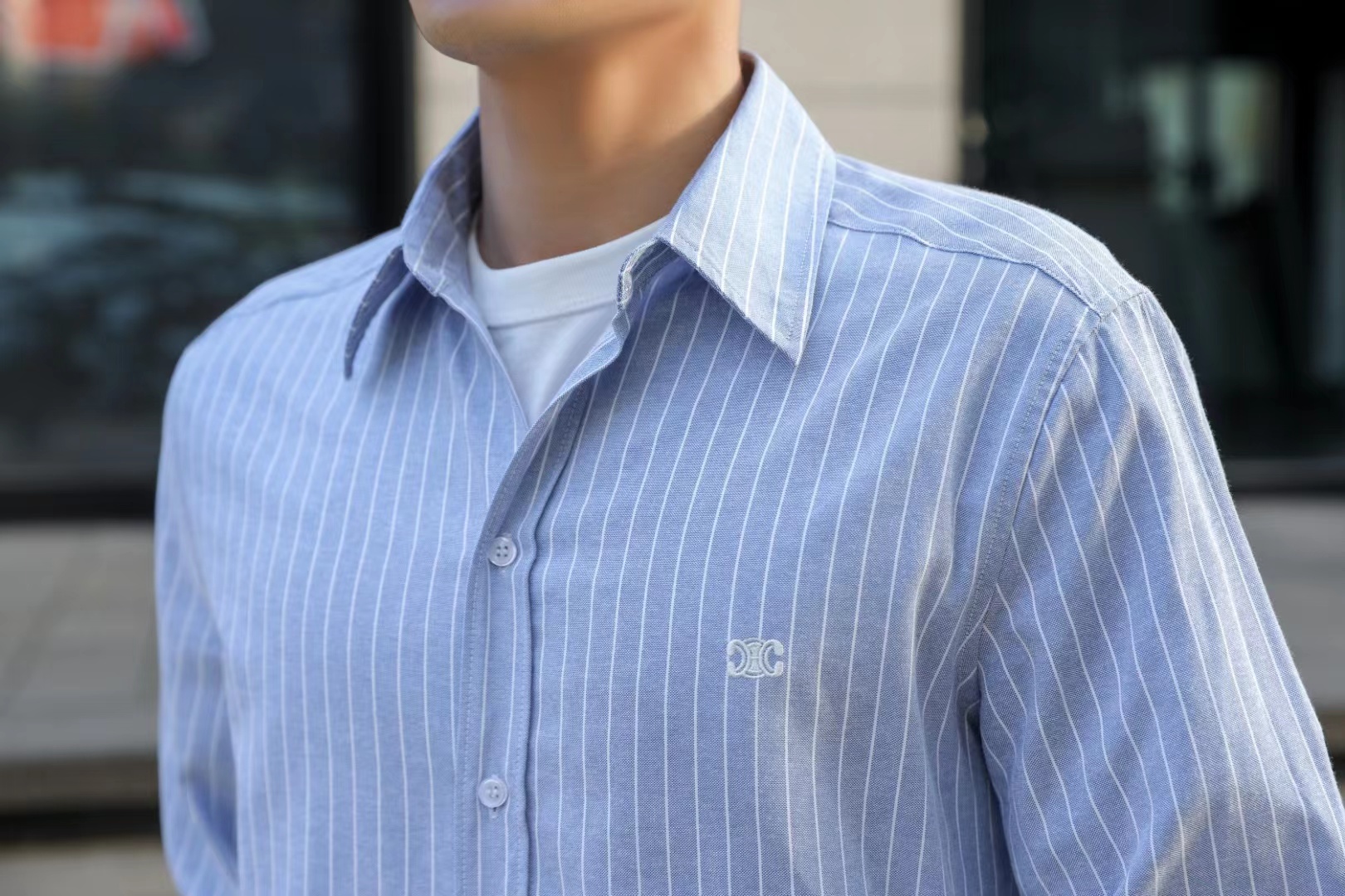 C3  Small Embroidered Vertical Stripe Long Sleeve Shirt