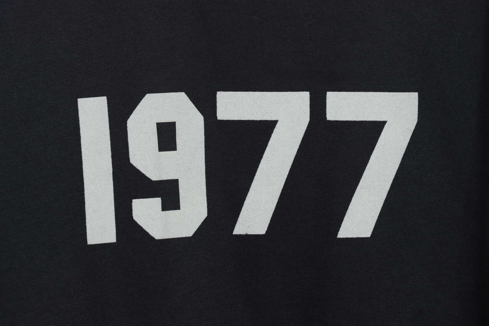 Ess3nt1als F0G  1977 flocking plus fleece sweater