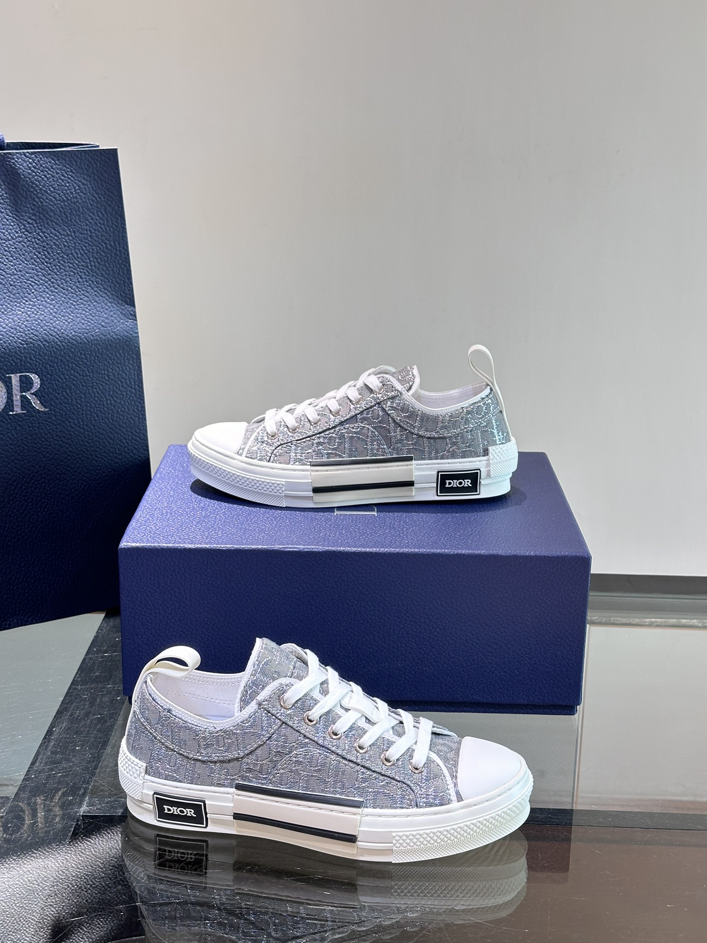 DIOR B23