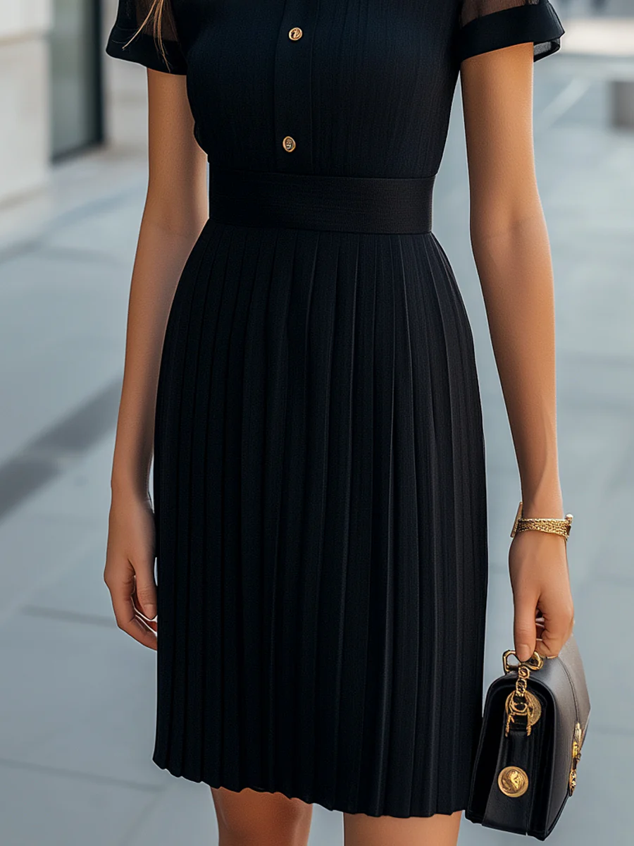 Elegant Sheer High-Neck Button-Up Pleated Dress