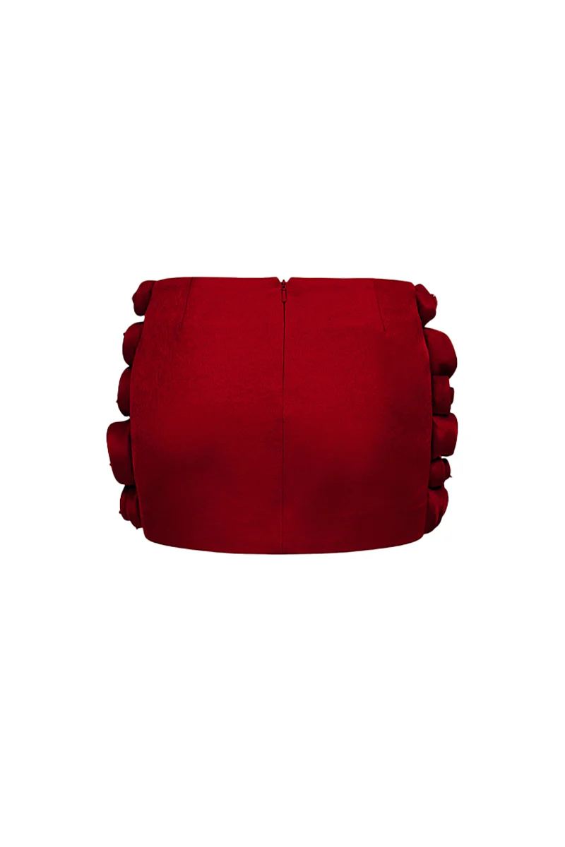 Alanna Bodycon Applique Skirt