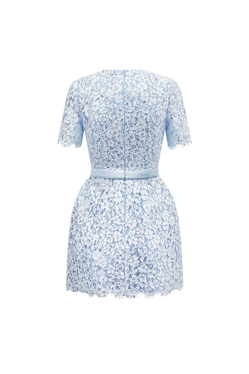 Gianna Regular Sleeve Lace Mini Dress