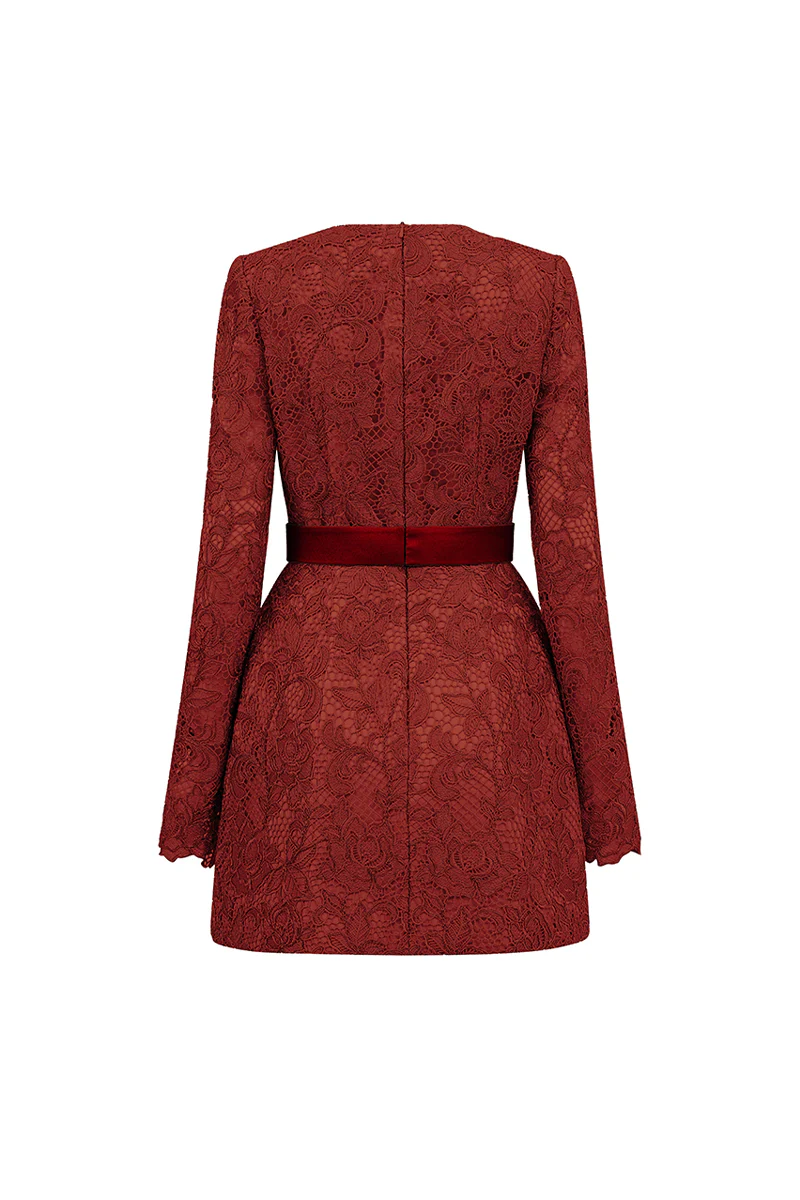 Alaina Long Sleeve Lace Mini Dress