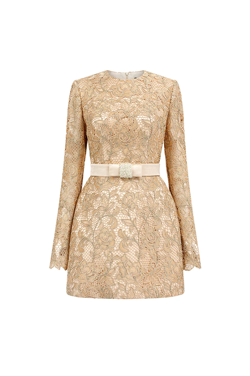Alaina Long Sleeve Lace Mini Dress