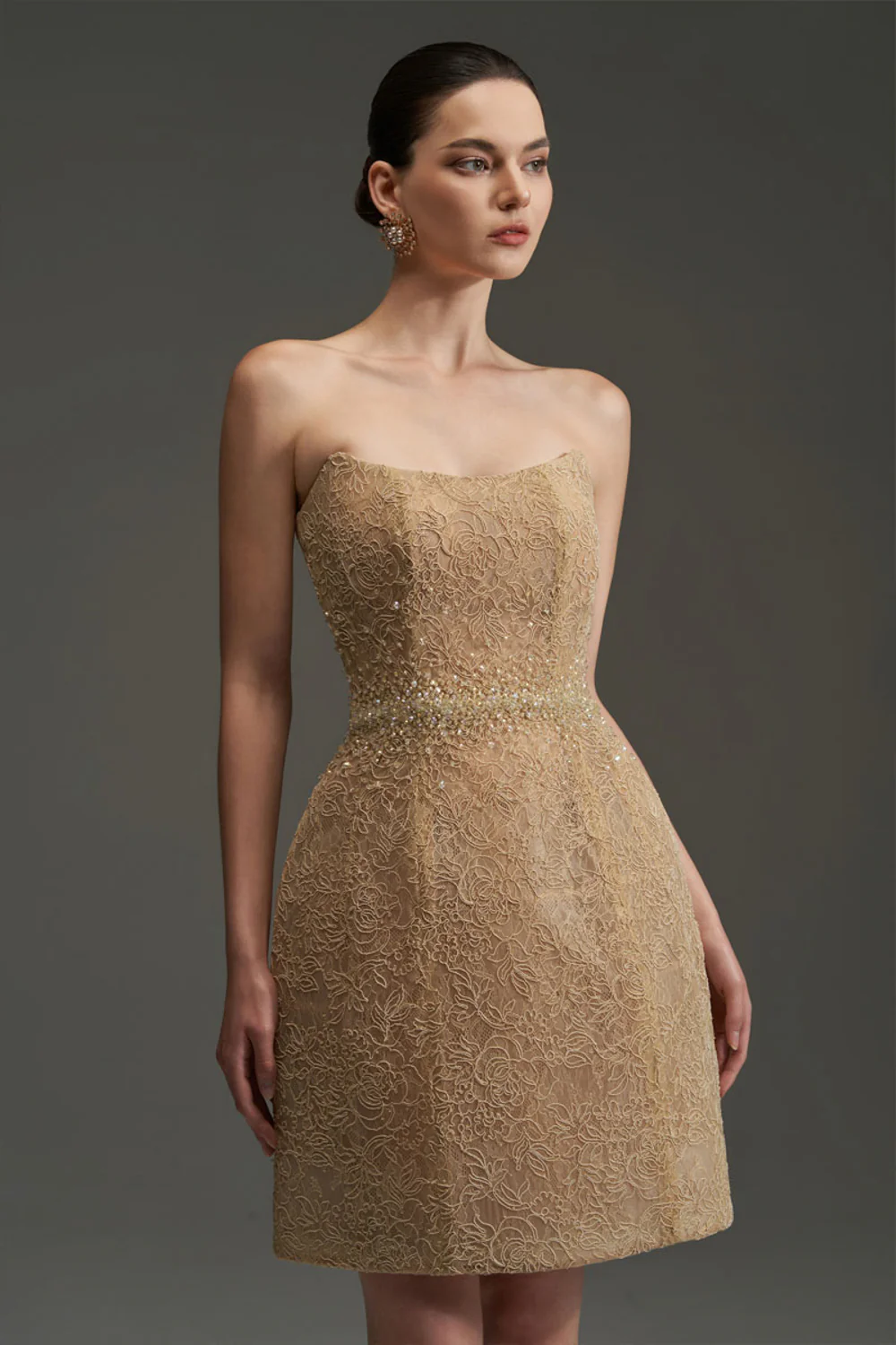 Penelope Straight Across Neck Lace Mini Dress