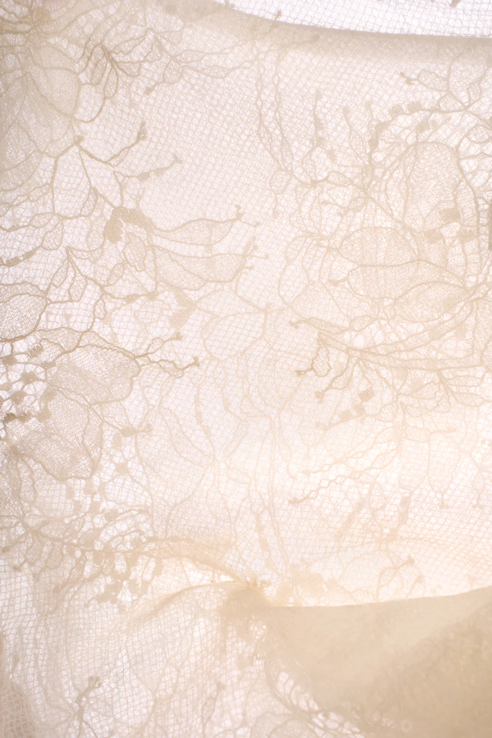 Selene Boat Neck Draped Top